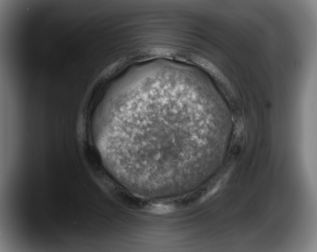 X0000087600352200705251927