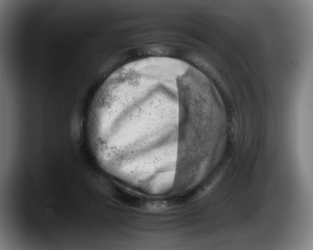 X0000087600355200705251927