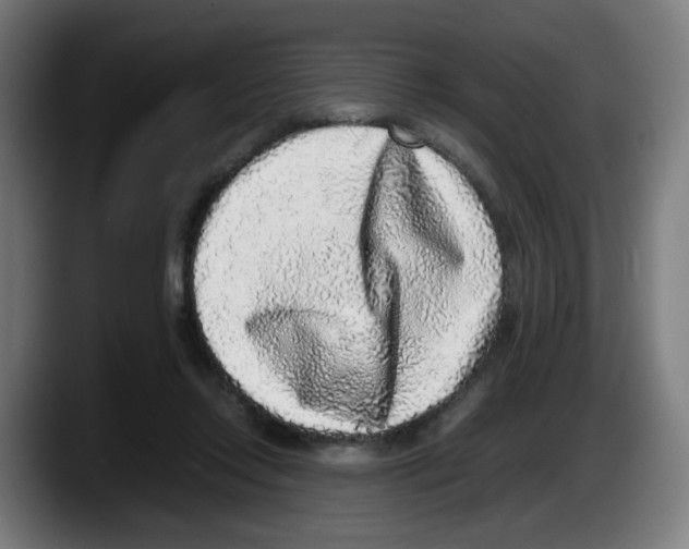 X0000087600358200705251927