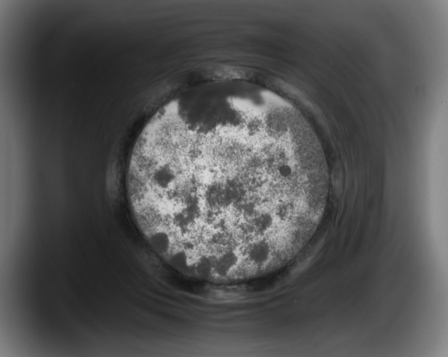 X0000087600359200705251927