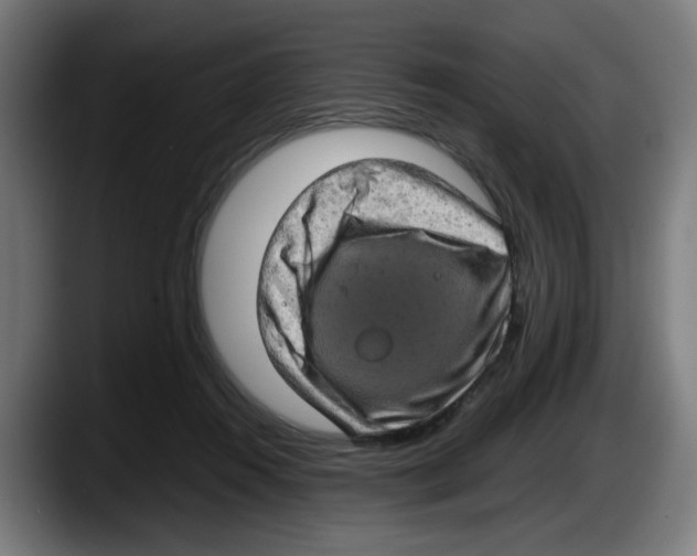 X0000087600360200705251927