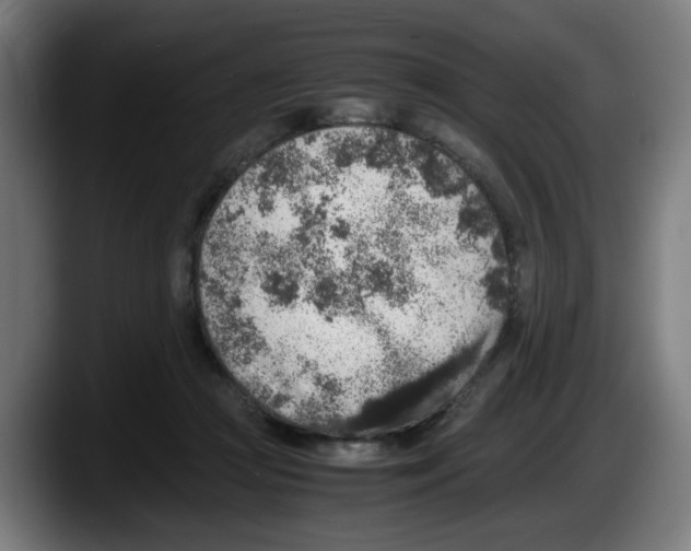 X0000087600361200705251927