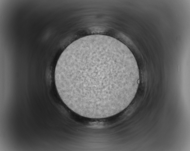 X0000087600362200705251927