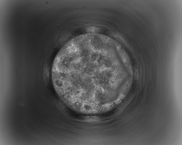 X0000087600363200705251927