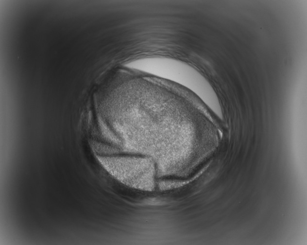 X0000087600364200705251927