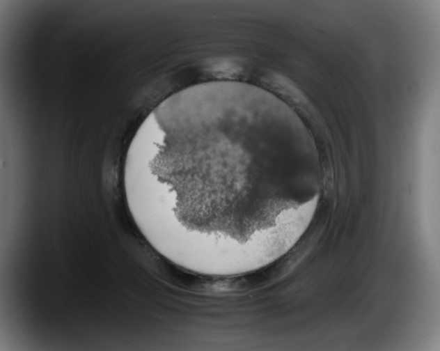 X0000087600365200705251927