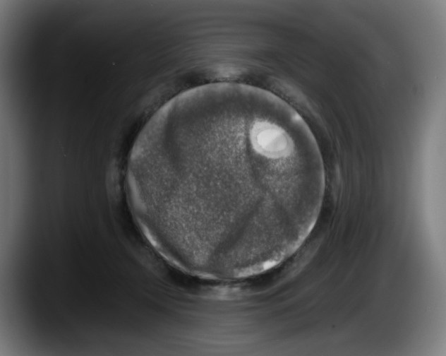 X0000087600366200705251927