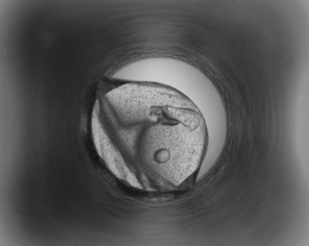 X0000087600368200705251927