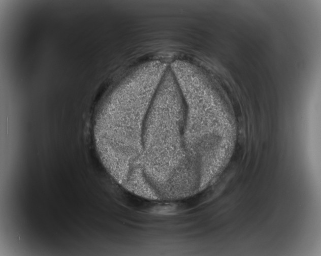 X0000087600369200705251927