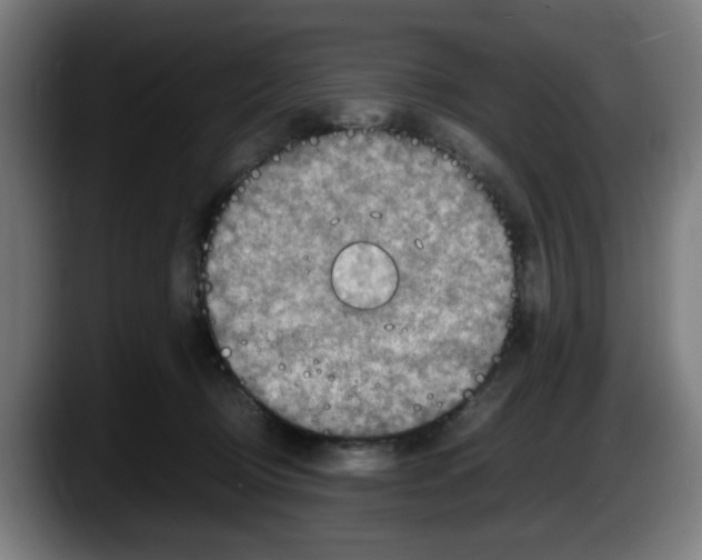 X0000087600370200705251927