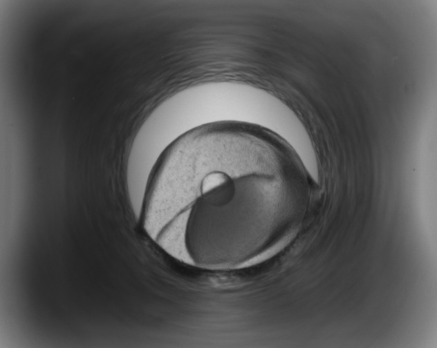 X0000087600372200705251927