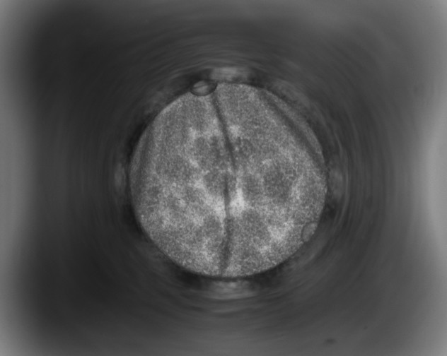 X0000087600375200705251927