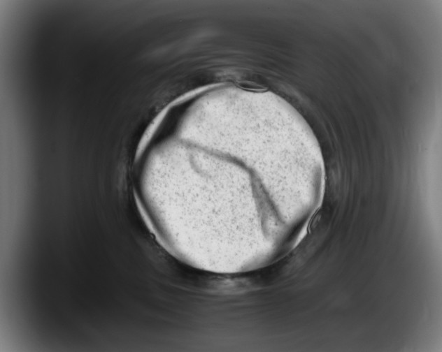 X0000087600379200705251927