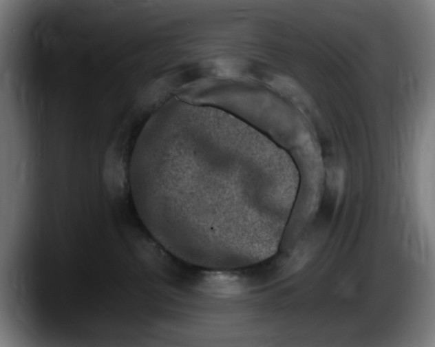 X0000087600380200705251927