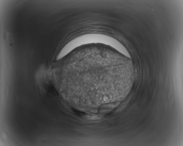 X0000087600381200705251927