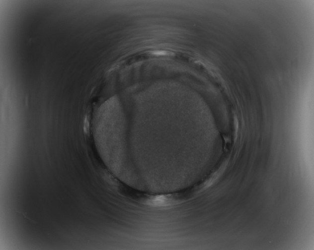 X0000087600382200705251927