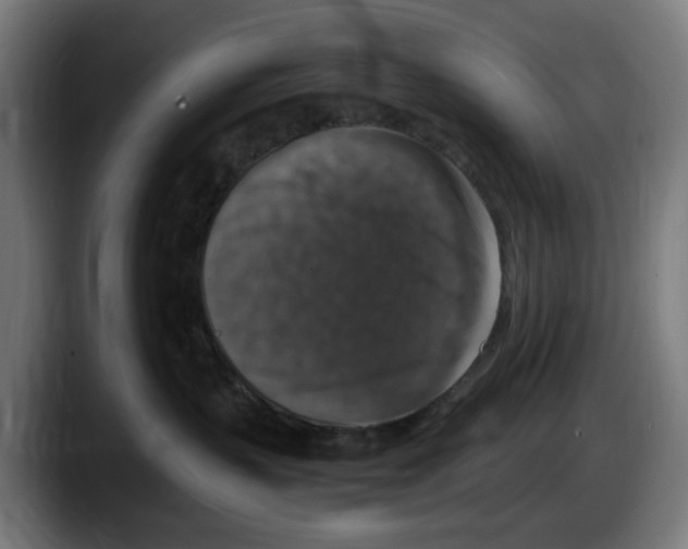 X0000087600383200705251927