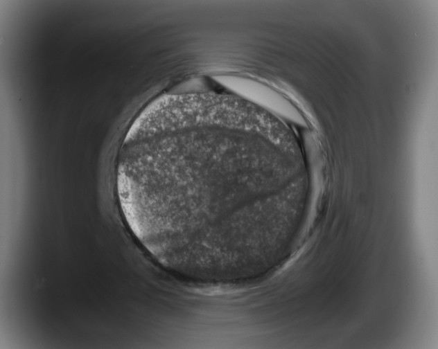 X0000087600385200705251926