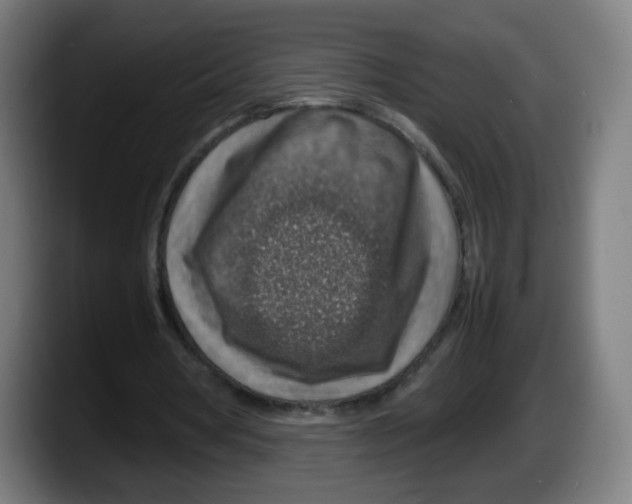 X0000087600386200705251926