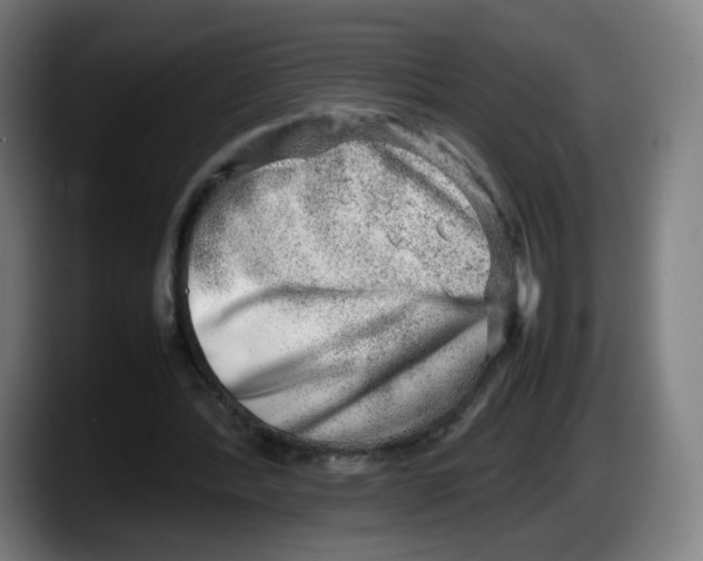 X0000087600388200705251926