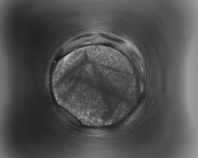 X0000087600389200705251926