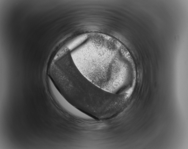 X0000087600390200705251926