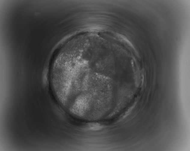 X0000087600392200705251926