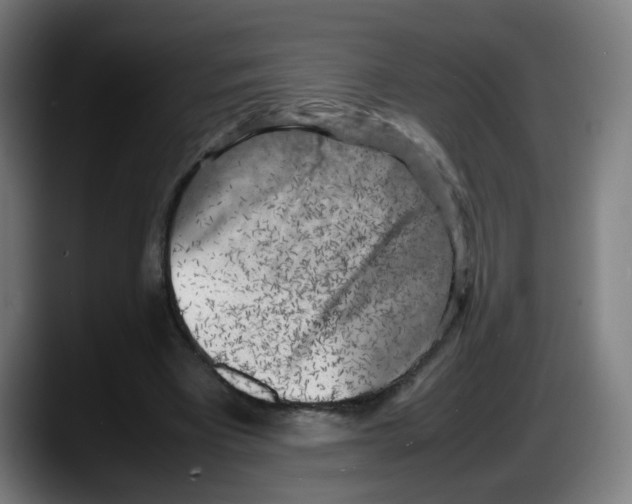 X0000087600393200705251926
