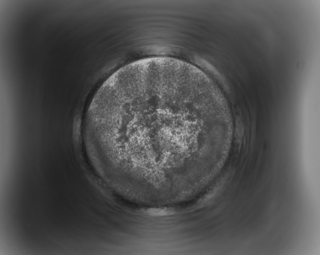 X0000087600394200705251926