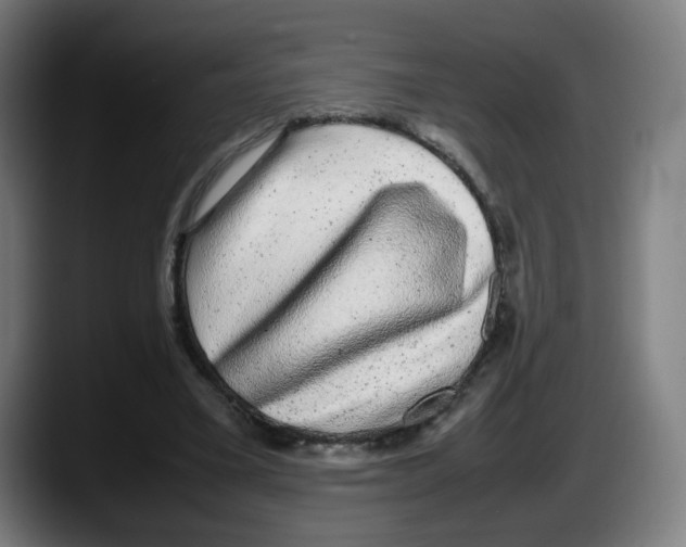 X0000087600395200705251926