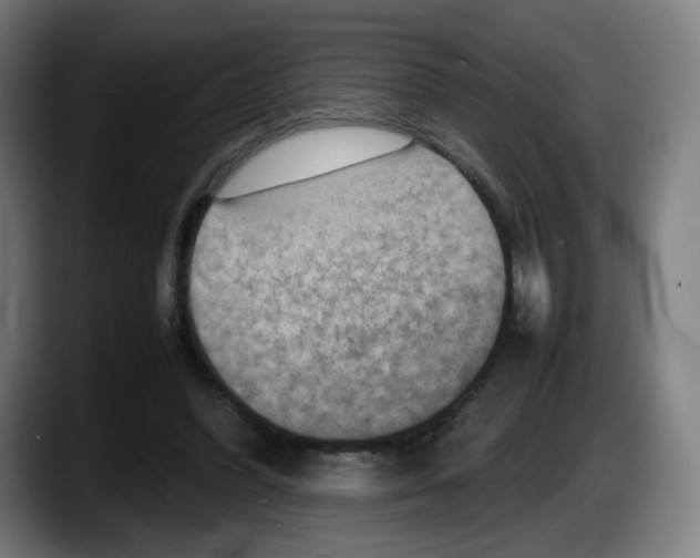 X0000087600396200705251926