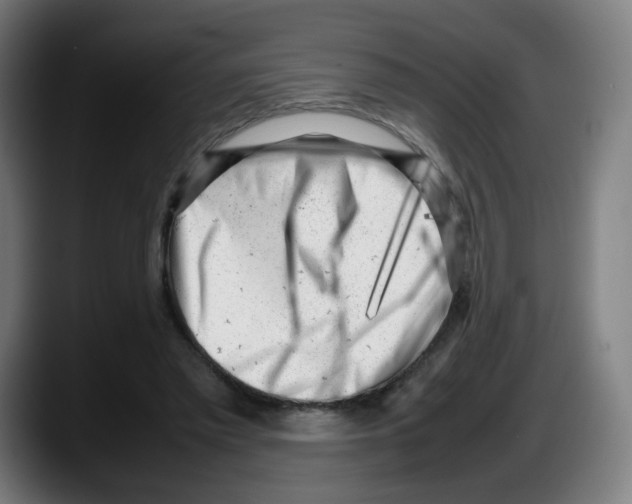 X0000087600397200705251926