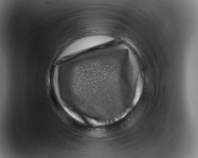 X0000087600398200705251926