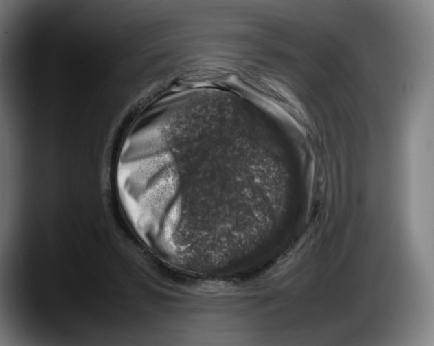 X0000087600399200705251926