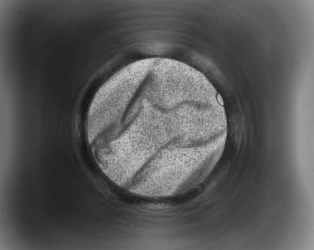 X0000087600400200705251926