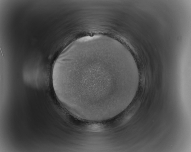 X0000087600402200705251926