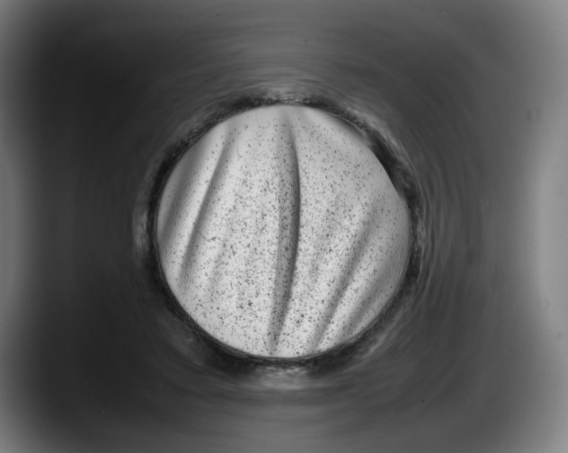 X0000087600403200705251926