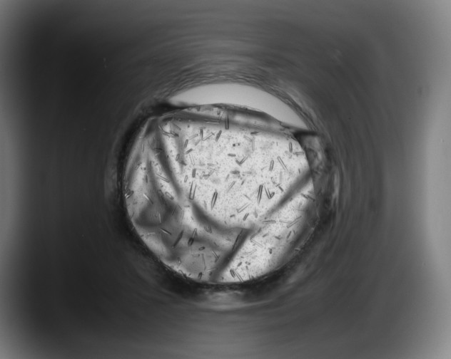 X0000087600407200705251926