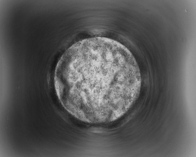 X0000087600408200705251926