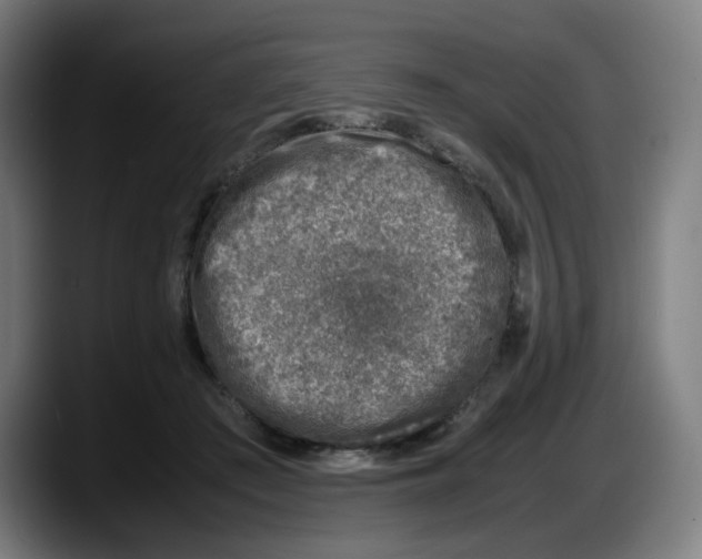 X0000087600409200705251926