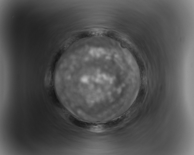 X0000087600411200705251926