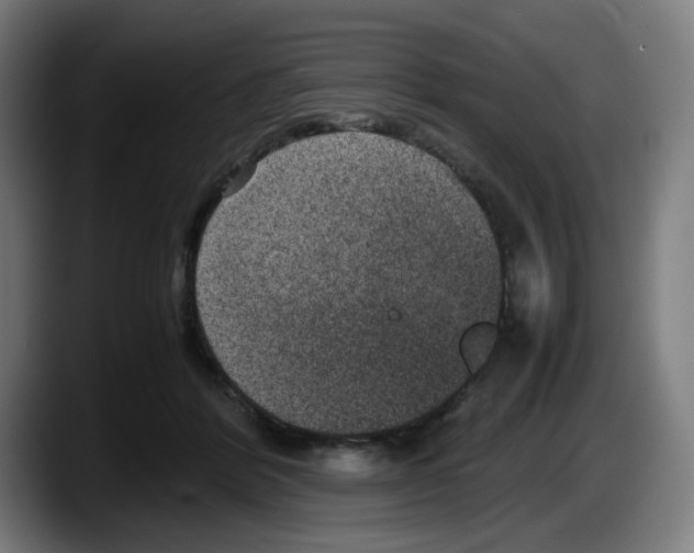 X0000087600412200705251926