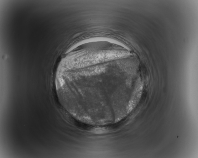 X0000087600413200705251926