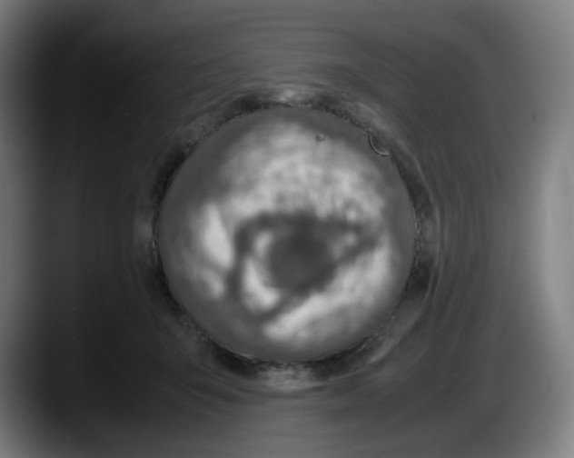 X0000087600415200705251926