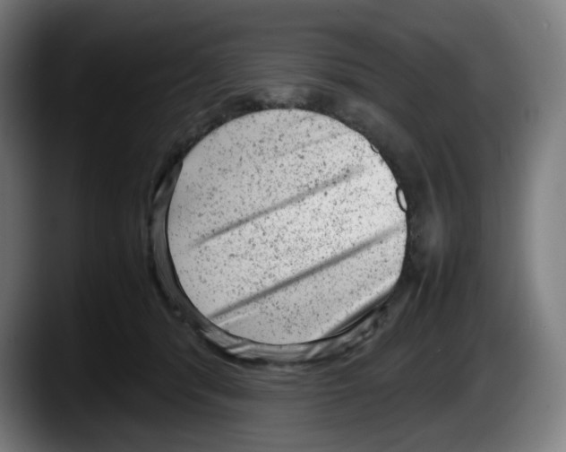 X0000087600416200705251926