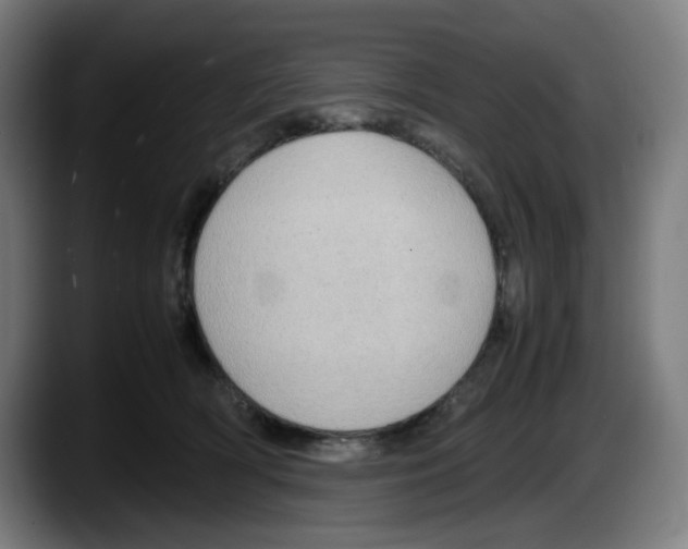 X0000087600418200705251926