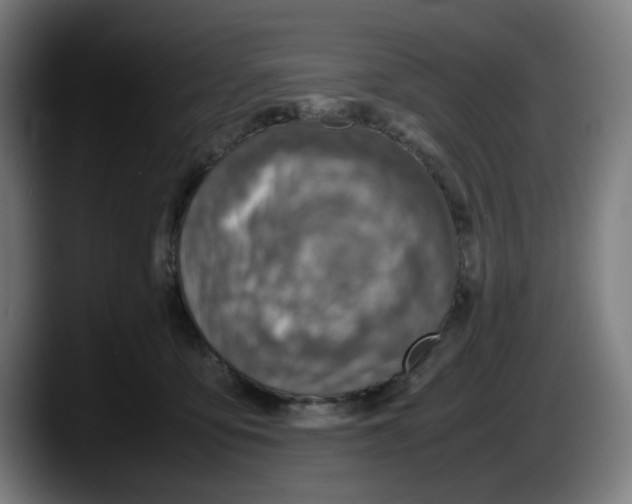 X0000087600419200705251926