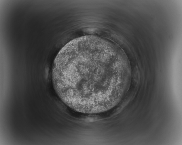 X0000087600420200705251926