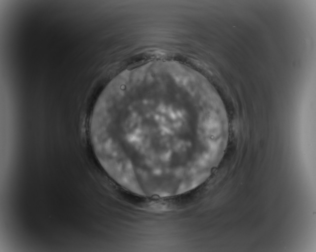 X0000087600423200705251926