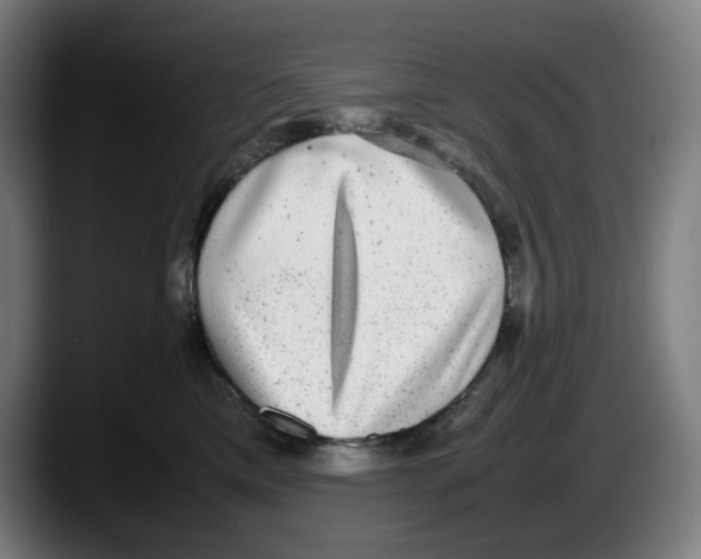 X0000087600425200705251926